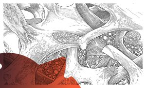 Illustration en noir et blanc d'une structure de biomatériau de régénération osseuse vue au microscope, avec le logo One Health Compliance
